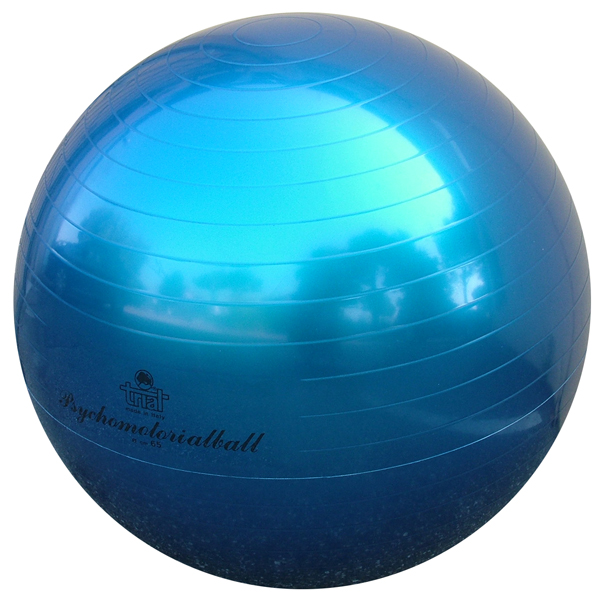 PSICOMOTORIAL BALL CM. 65