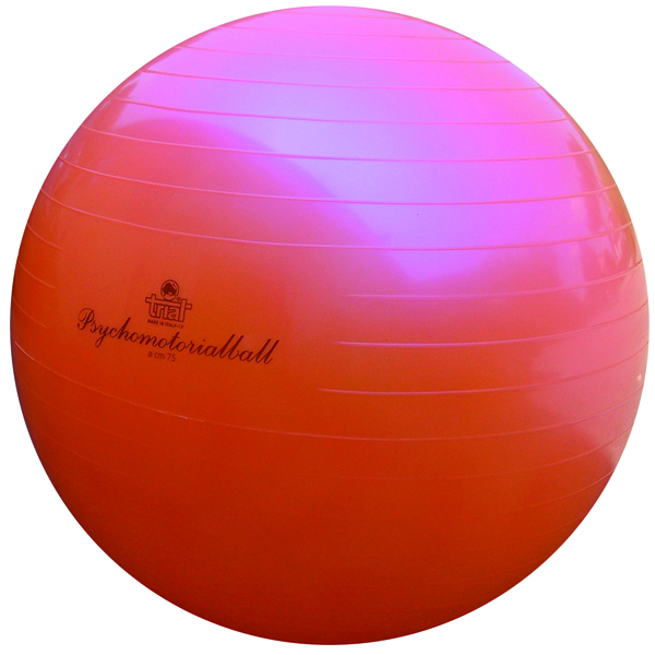 PSICOMOTORIAL BALL CM. 75